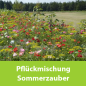 Preview: Gratis Sommerzauber Saatgutpäckchen für 10 m²