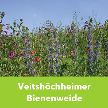 Veitshöchheimer Bienenweide Süd