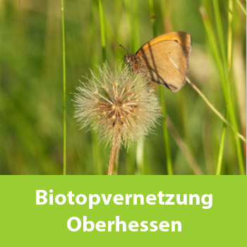 Biotopvernetzung Oberhessen