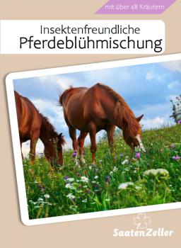 Gratis Insektenfreundliche Pferdeblühmischung - 100% Kräuter