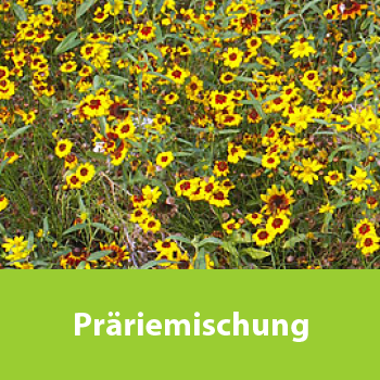 Präriemischung