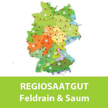 Feldrain & Saum (10% Gräser / 90% Kräuter) - Regiosaatgut, zertifiziert nach RegioZert® - Saatgut-Tütchen für 2 m²