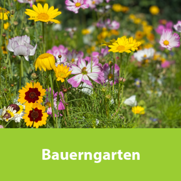 Bauerngarten