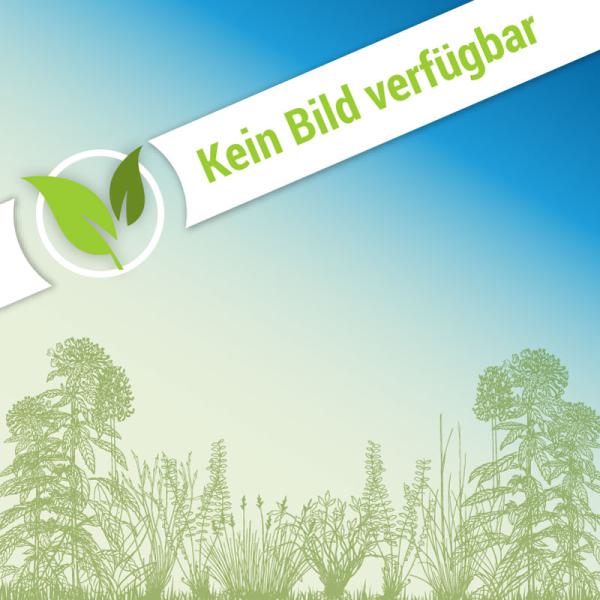 RSM 8.1.2 - Biotop-Rasen: Magerstandorte, mäßig bis stark sauer