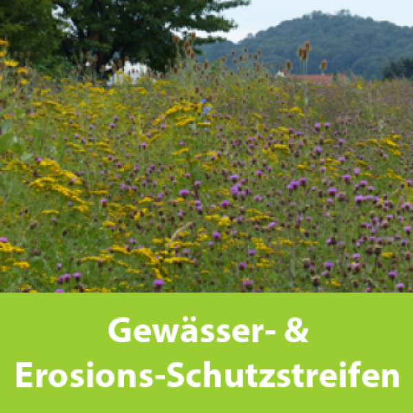 Gewässer- und Erosionsschutzstreifen