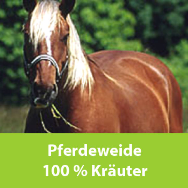 Pferdeweide 100 % Kräuter