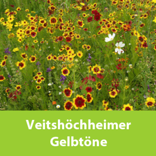 Veitshöchheimer Gelbtöne