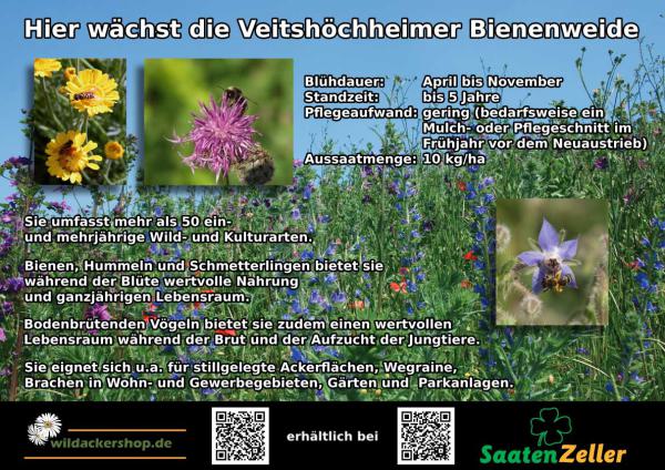 Schild aus Aluminium "Veitshöchheimer Bienenweide"