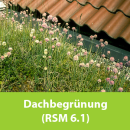 Dachbegrünung (RSM 6.1)