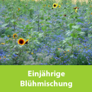 Einjährige Blühmischung