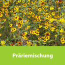 Präriemischung